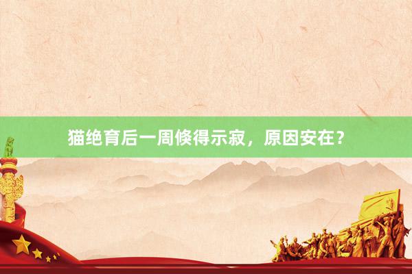 猫绝育后一周倏得示寂，原因安在？