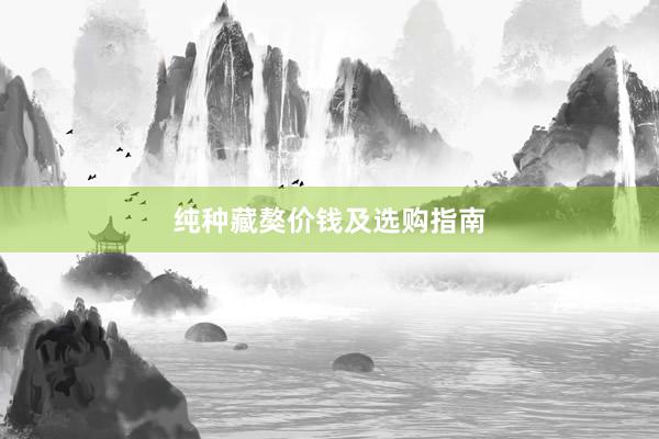 纯种藏獒价钱及选购指南