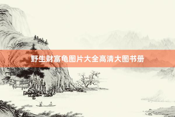 野生财富龟图片大全高清大图书册