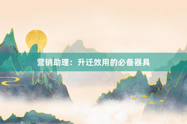 营销助理：升迁效用的必备器具